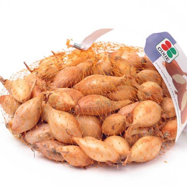 Zaden online Plantsjalotten, uien en knoflook Plantuien Plantuien Sturo-Hercules per 250 gram Plantuien Sturo-Hercules per 250 gram (TP81314) Zaden online Plantsjalotten, uien en knoflook Plantuien Plantuien Sturo-Hercules per 250 gram Plantuien Sturo-Hercules per 250 gram (TP81314)